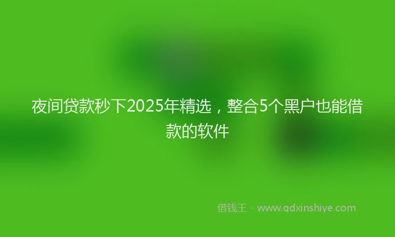 夜间贷款秒下2025年精选，整合5个黑户也能借款的软件