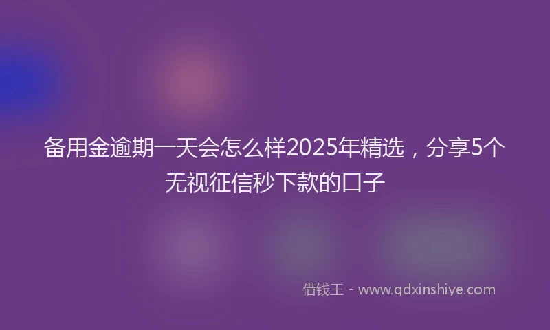 备用金逾期一天会怎么样2025年精选，分享5个无视征信秒下款的口子