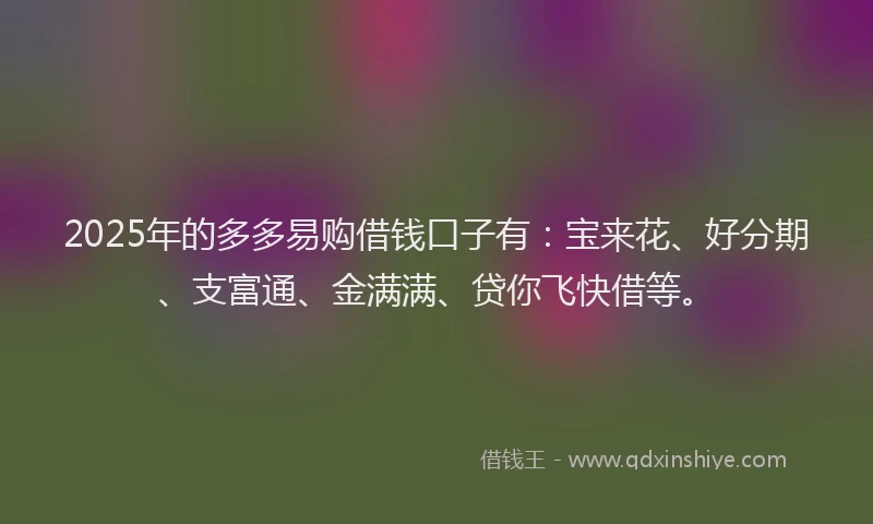 2025年的多多易购借钱口子有：宝来花、好分期、支富通、金满满、贷你飞快借等。