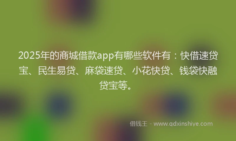 2025年的商城借款app有哪些软件有：快借速贷宝、民生易贷、麻袋速贷、小花快贷、钱袋快融贷宝等。