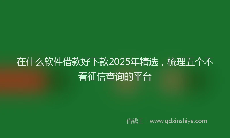 在什么软件借款好下款2025年精选，梳理五个不看征信查询的平台