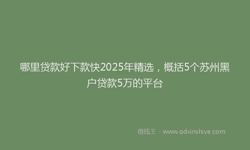 哪里贷款好下款快2025年精选，概括5个苏州黑户贷款5万的平台