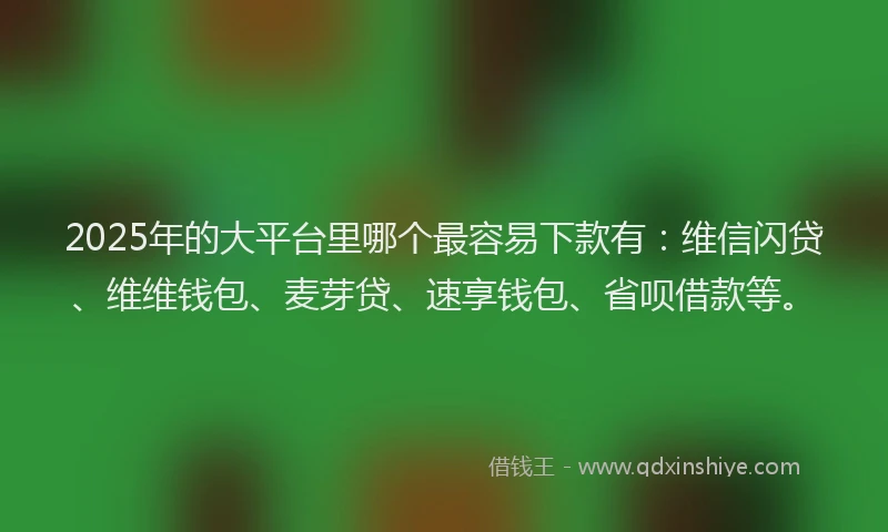 2025年的大平台里哪个最容易下款有：维信闪贷、维维钱包、麦芽贷、速享钱包、省呗借款等。