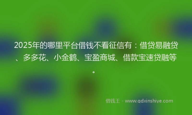 2025年的哪里平台借钱不看征信有：借贷易融贷、多多花、小金鹤、宝盈商城、借款宝速贷融等。