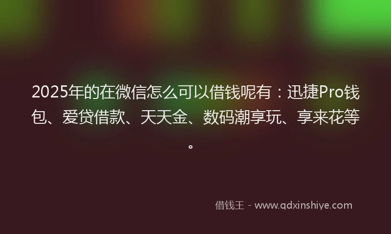 2025年的在微信怎么可以借钱呢有：迅捷Pro钱包、爱贷借款、天天金、数码潮享玩、享来花等。