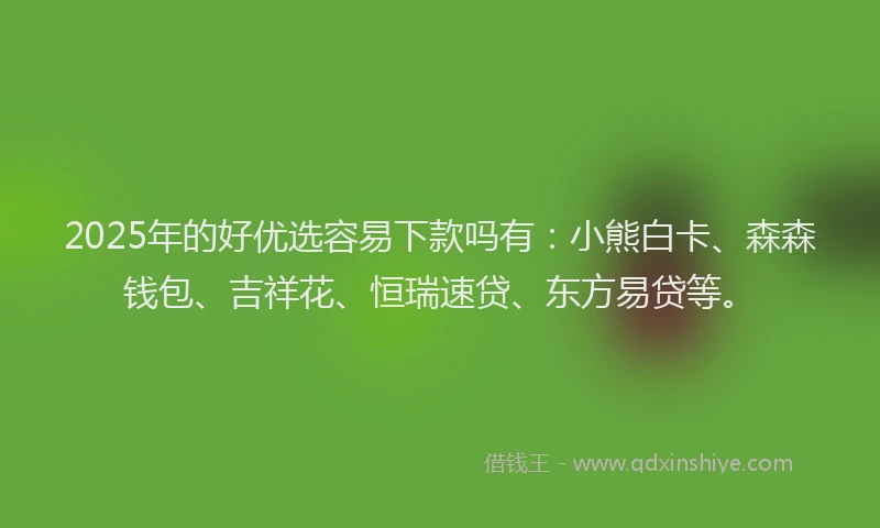 2025年的好优选容易下款吗有：小熊白卡、森森钱包、吉祥花、恒瑞速贷、东方易贷等。