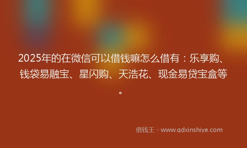 2025年的在微信可以借钱嘛怎么借有：乐享购、钱袋易融宝、星闪购、天浩花、现金易贷宝盒等。
