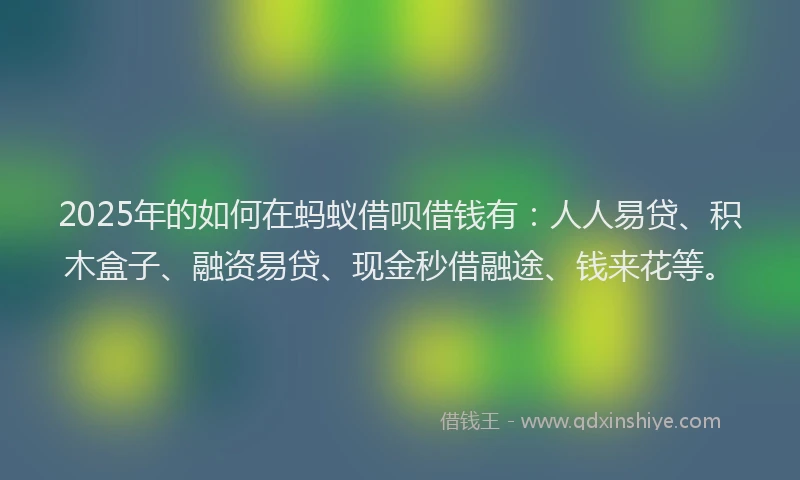 2025年的如何在蚂蚁借呗借钱有：人人易贷、积木盒子、融资易贷、现金秒借融途、钱来花等。