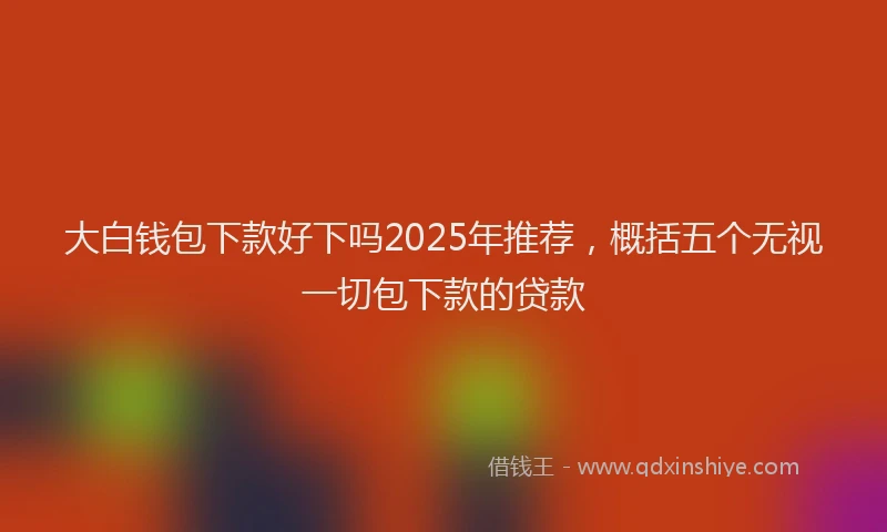 大白钱包下款好下吗2025年推荐，概括五个无视一切包下款的贷款