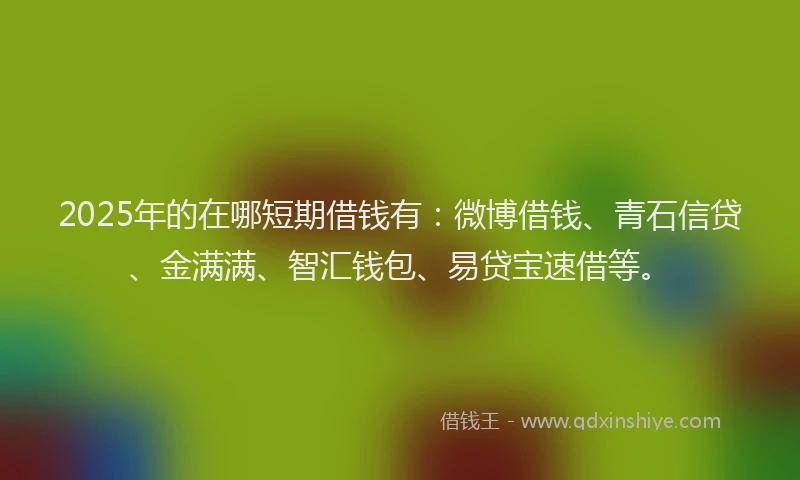 2025年的在哪短期借钱有：微博借钱、青石信贷、金满满、智汇钱包、易贷宝速借等。