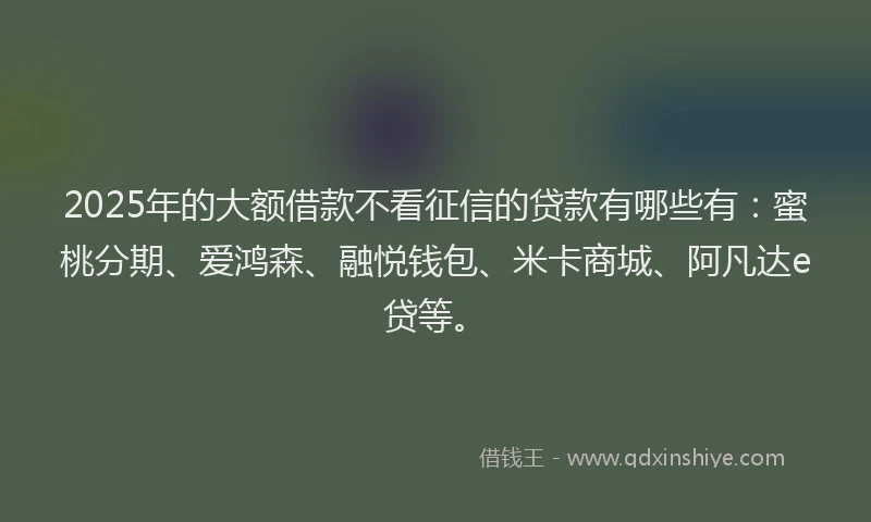 2025年的大额借款不看征信的贷款有哪些有：蜜桃分期、爱鸿森、融悦钱包、米卡商城、阿凡达e贷等。