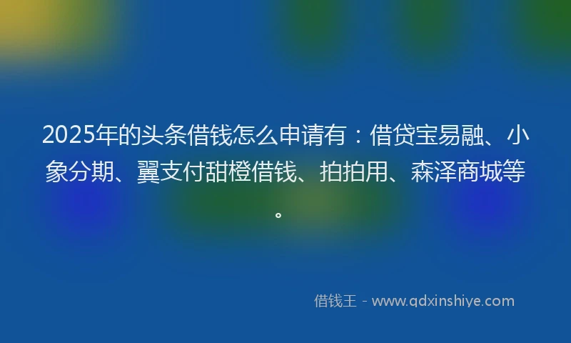 2025年的头条借钱怎么申请有：借贷宝易融、小象分期、翼支付甜橙借钱、拍拍用、森泽商城等。