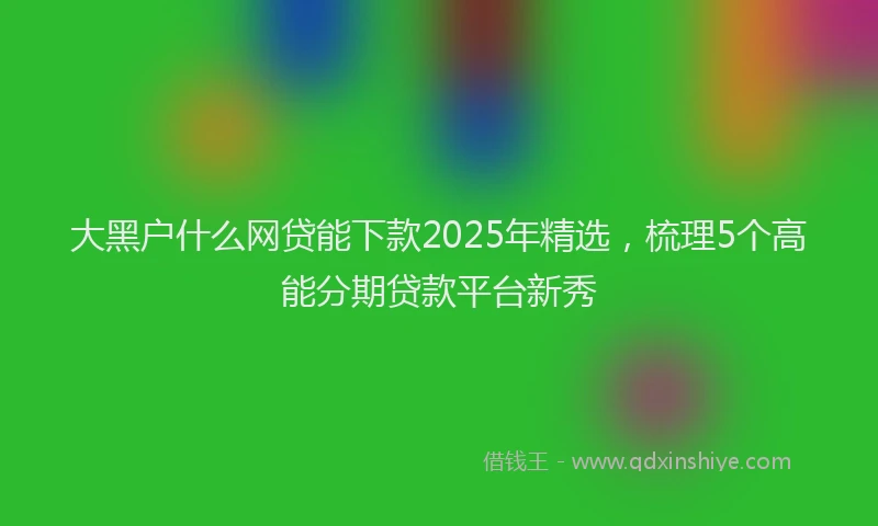 大黑户什么网贷能下款2025年精选，梳理5个高能分期贷款平台新秀