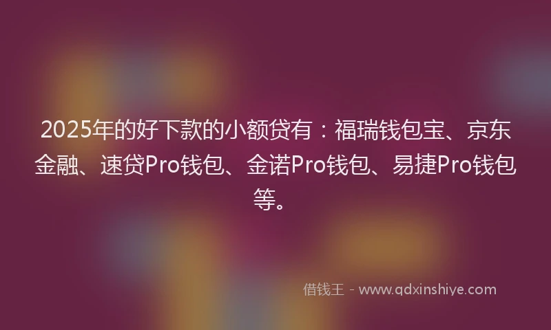 2025年的好下款的小额贷有：福瑞钱包宝、京东金融、速贷Pro钱包、金诺Pro钱包、易捷Pro钱包等。