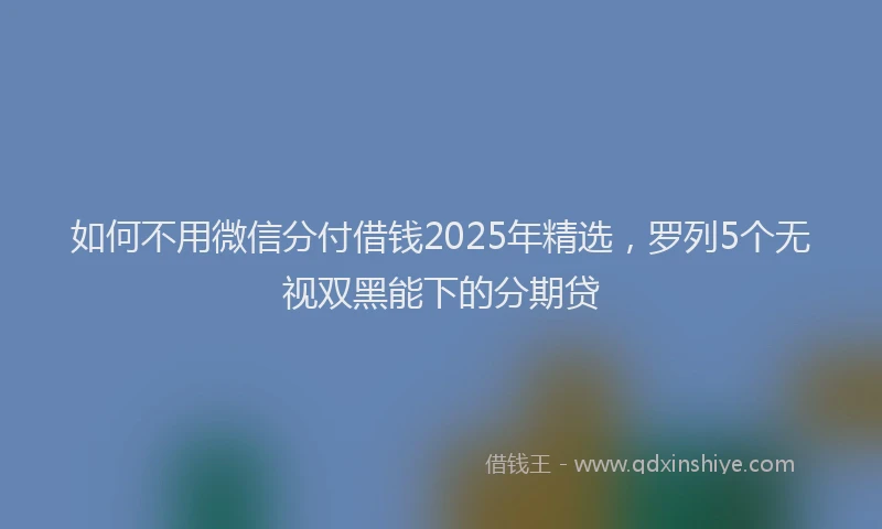 如何不用微信分付借钱2025年精选，罗列5个无视双黑能下的分期贷