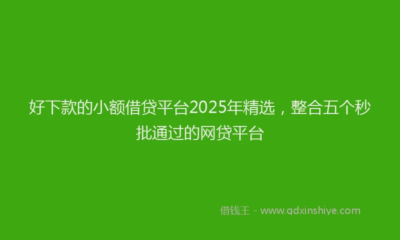 好下款的小额借贷平台2025年精选，整合五个秒批通过的网贷平台