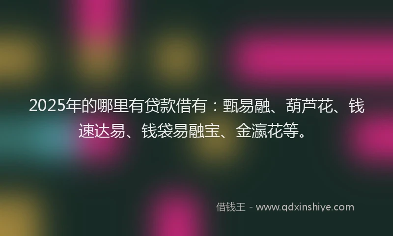 2025年的哪里有贷款借有：甄易融、葫芦花、钱速达易、钱袋易融宝、金瀛花等。