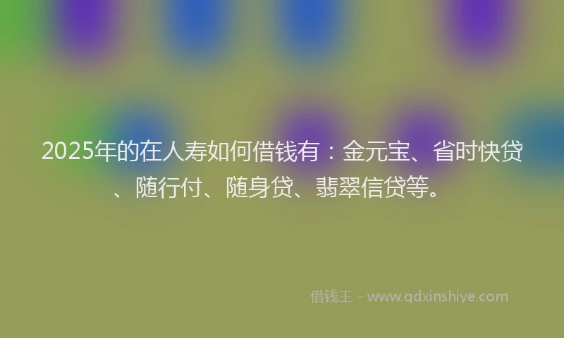 2025年的在人寿如何借钱有：金元宝、省时快贷、随行付、随身贷、翡翠信贷等。