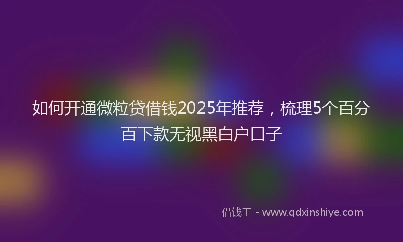 如何开通微粒贷借钱2025年推荐，梳理5个百分百下款无视黑白户口子