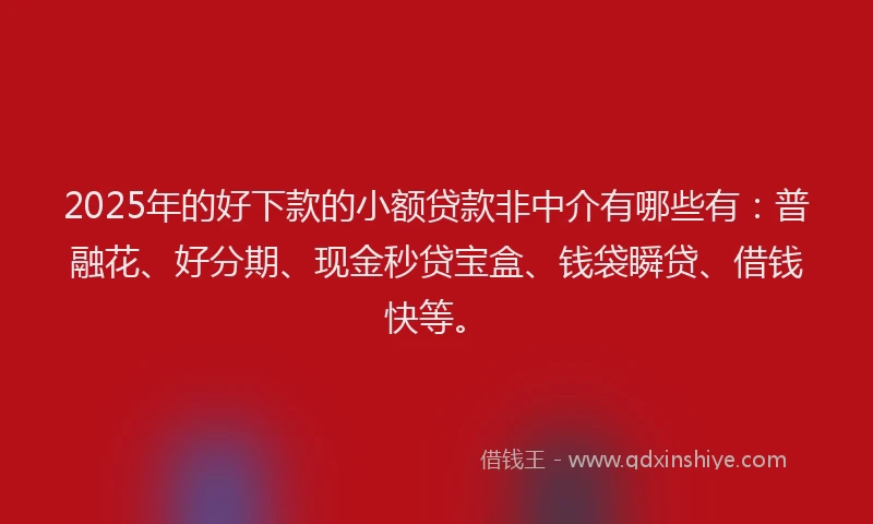 2025年的好下款的小额贷款非中介有哪些有：普融花、好分期、现金秒贷宝盒、钱袋瞬贷、借钱快等。