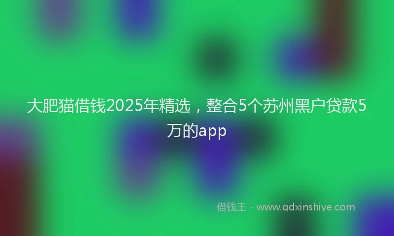大肥猫借钱2025年精选，整合5个苏州黑户贷款5万的app