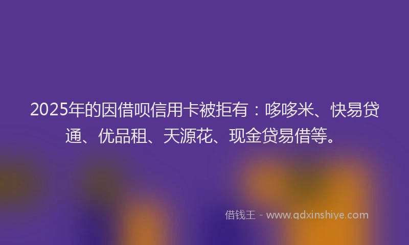 2025年的因借呗信用卡被拒有：哆哆米、快易贷通、优品租、天源花、现金贷易借等。