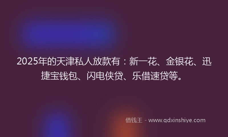 2025年的天津私人放款有：新一花、金银花、迅捷宝钱包、闪电侠贷、乐借速贷等。