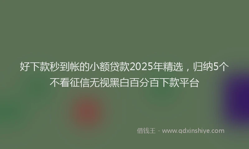 好下款秒到帐的小额贷款2025年精选，归纳5个不看征信无视黑白百分百下款平台