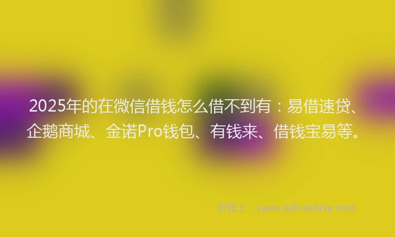2025年的在微信借钱怎么借不到有：易借速贷、企鹅商城、金诺Pro钱包、有钱来、借钱宝易等。