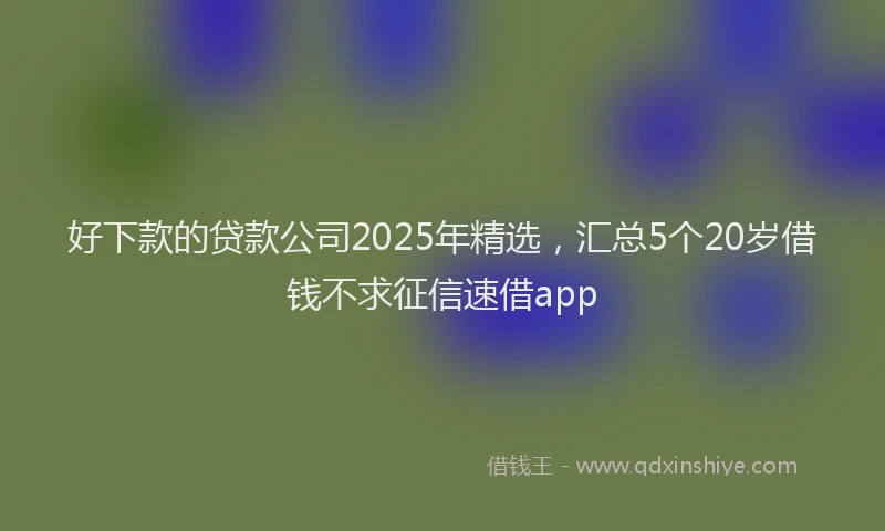 好下款的贷款公司2025年精选，汇总5个20岁借钱不求征信速借app