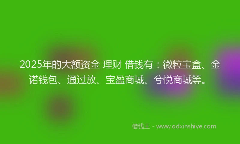 2025年的大额资金 理财 借钱有：微粒宝盒、金诺钱包、通过放、宝盈商城、兮悦商城等。