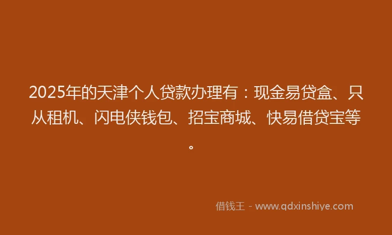 2025年的天津个人贷款办理有：现金易贷盒、只从租机、闪电侠钱包、招宝商城、快易借贷宝等。