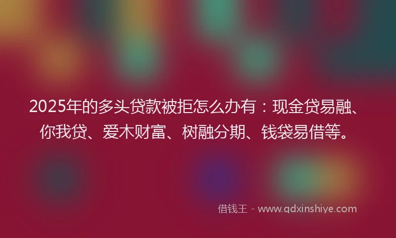 2025年的多头贷款被拒怎么办有：现金贷易融、你我贷、爱木财富、树融分期、钱袋易借等。