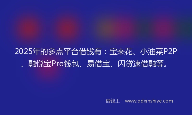 2025年的多点平台借钱有：宝来花、小油菜P2P、融悦宝Pro钱包、易借宝、闪贷速借融等。