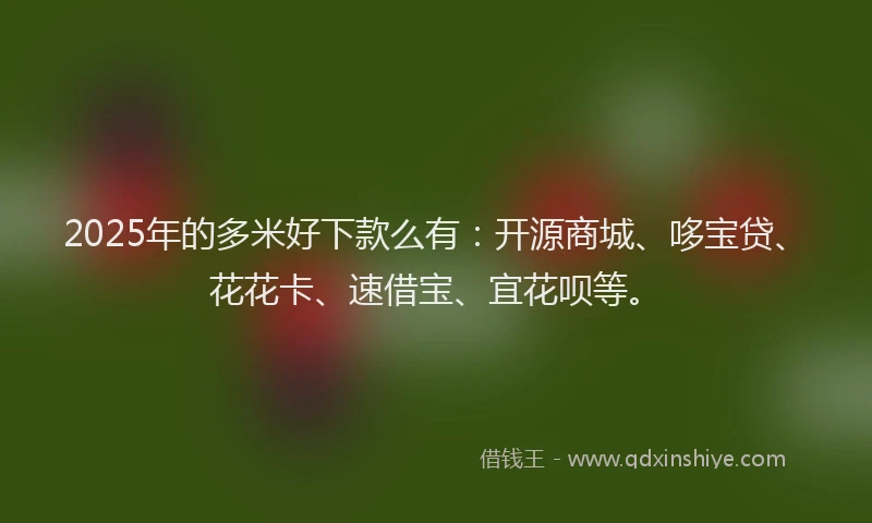 2025年的多米好下款么有：开源商城、哆宝贷、花花卡、速借宝、宜花呗等。