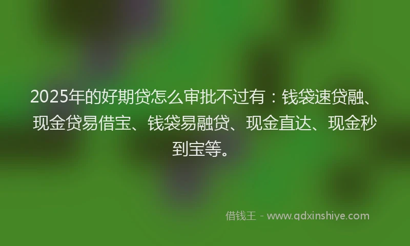 2025年的好期贷怎么审批不过有：钱袋速贷融、现金贷易借宝、钱袋易融贷、现金直达、现金秒到宝等。