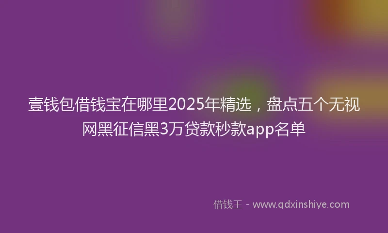 壹钱包借钱宝在哪里2025年精选，盘点五个无视网黑征信黑3万贷款秒款app名单
