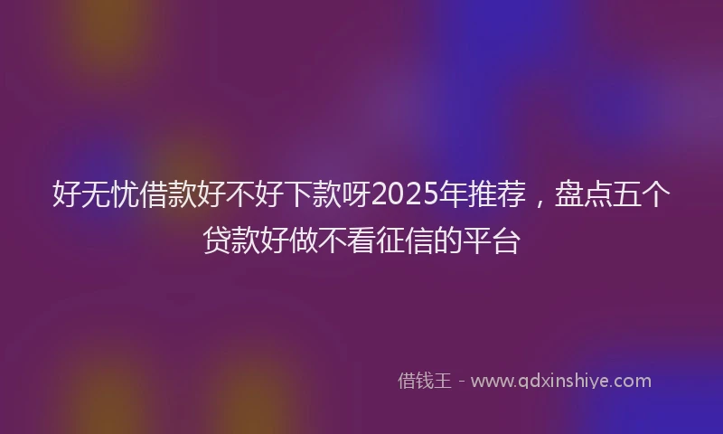 好无忧借款好不好下款呀2025年推荐，盘点五个贷款好做不看征信的平台