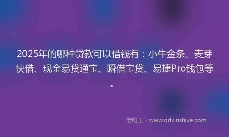 2025年的哪种贷款可以借钱有：小牛金条、麦芽快借、现金易贷通宝、瞬借宝贷、易捷Pro钱包等。