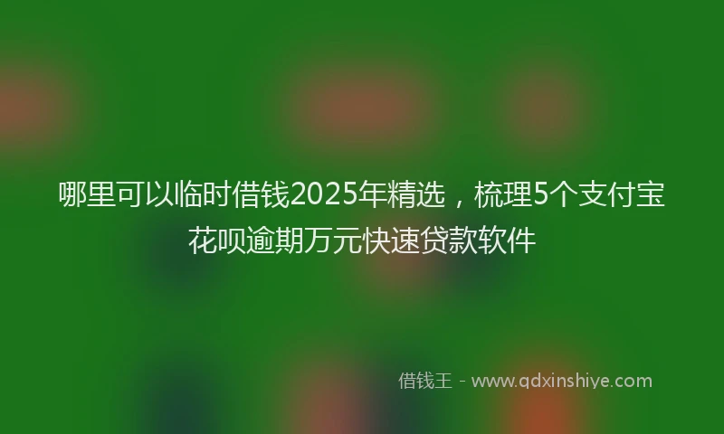 哪里可以临时借钱2025年精选，梳理5个支付宝花呗逾期万元快速贷款软件