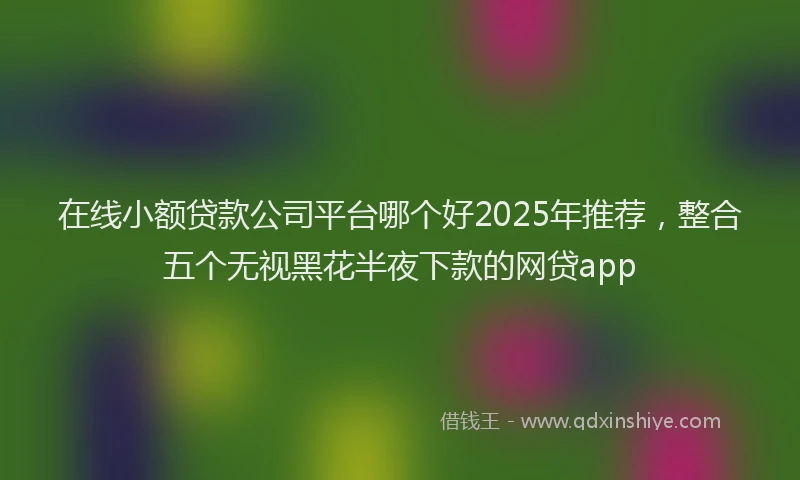在线小额贷款公司平台哪个好2025年推荐，整合五个无视黑花半夜下款的网贷app