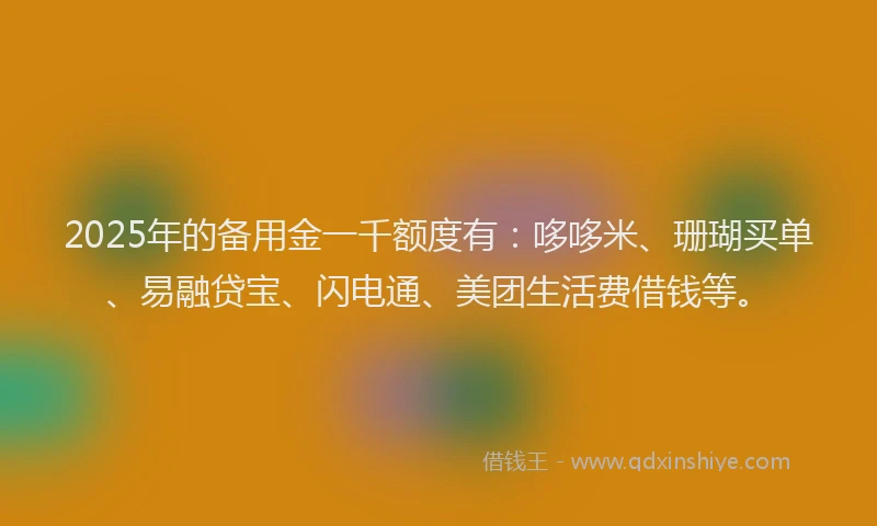 2025年的备用金一千额度有：哆哆米、珊瑚买单、易融贷宝、闪电通、美团生活费借钱等。
