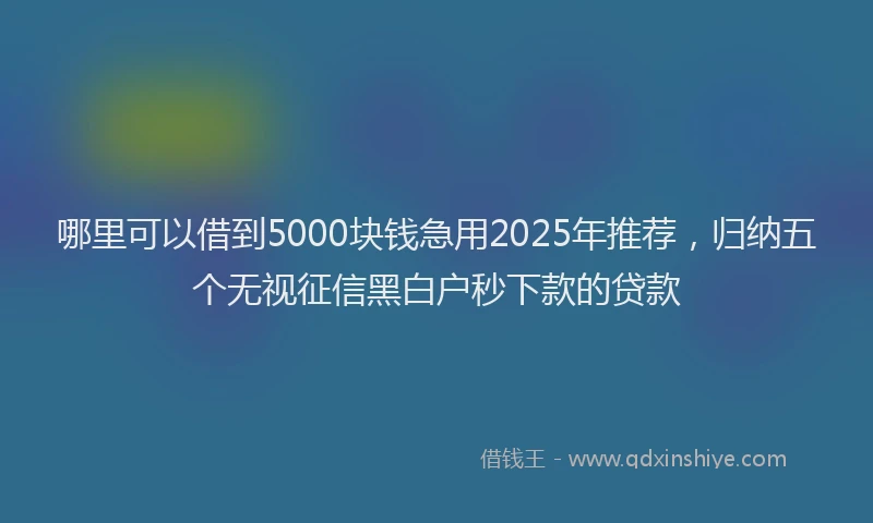 哪里可以借到5000块钱急用2025年推荐，归纳五个无视征信黑白户秒下款的贷款