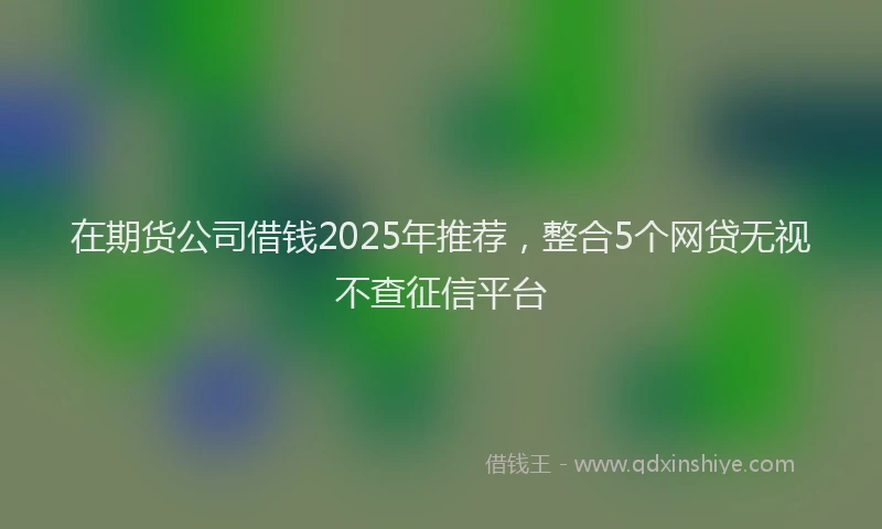 在期货公司借钱2025年推荐，整合5个网贷无视不查征信平台