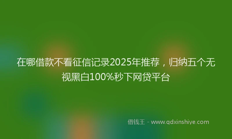 在哪借款不看征信记录2025年推荐，归纳五个无视黑白100%秒下网贷平台