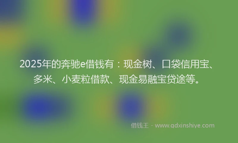 2025年的奔驰e借钱有：现金树、口袋信用宝、多米、小麦粒借款、现金易融宝贷途等。