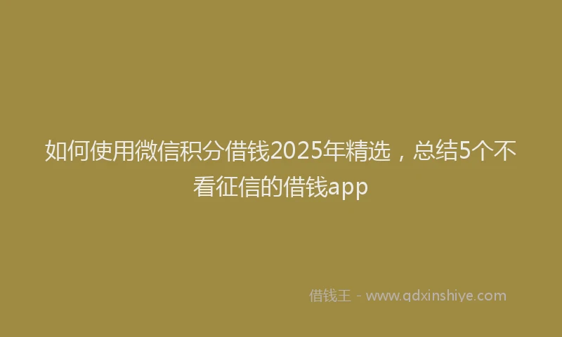 如何使用微信积分借钱2025年精选，总结5个不看征信的借钱app