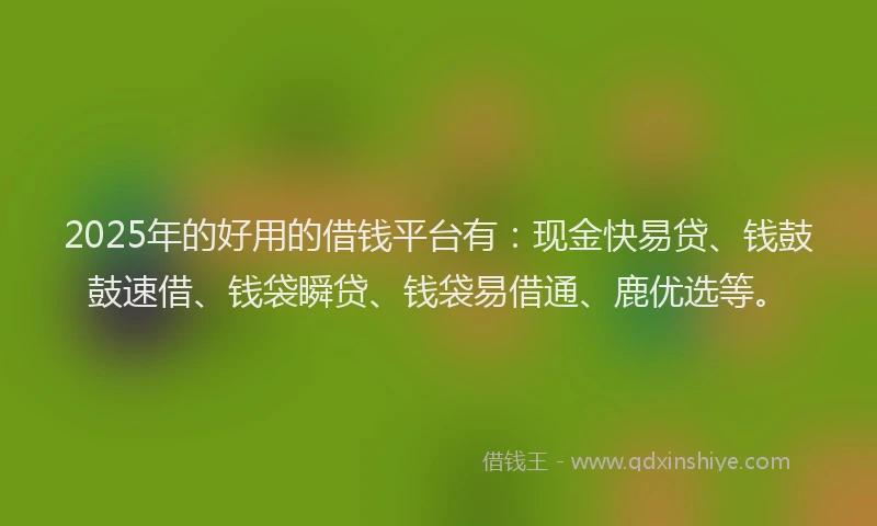 2025年的好用的借钱平台有：现金快易贷、钱鼓鼓速借、钱袋瞬贷、钱袋易借通、鹿优选等。
