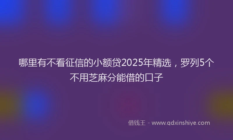 哪里有不看征信的小额贷2025年精选，罗列5个不用芝麻分能借的口子