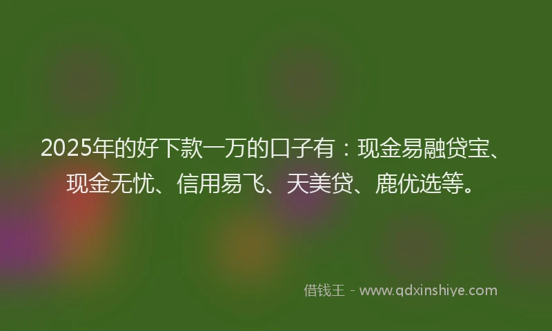2025年的好下款一万的口子有：现金易融贷宝、现金无忧、信用易飞、天美贷、鹿优选等。